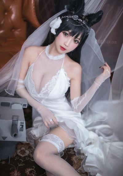 末的后宫_DVD在线播放