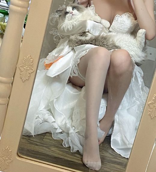 又黄又爽的软件_高清在线观看电视